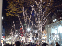 表参道イルミネーション17.jpg
