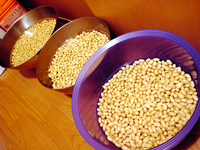 味噌201107-07.jpg