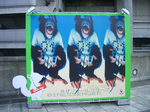 SAS30ライブ-ジャケP1501messenger.jpg