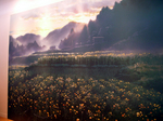 男鹿和雄展02FL紅花畑.jpg