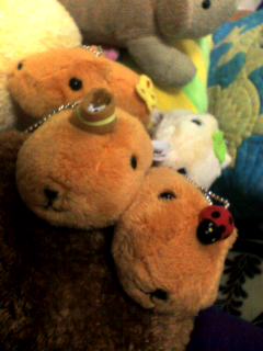 070507_0035~001.jpg
