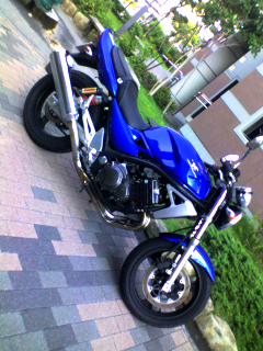070805_1625~001.jpg