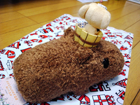 カピバラさんおさるさんのゆず温泉ぬいぐるみ03.jpg