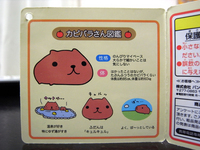 カピバラさんおさるさんのゆず温泉ぬいぐるみ06.jpg