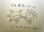 115オリゼー&クリソゲヌム写真撮影OKです.jpg